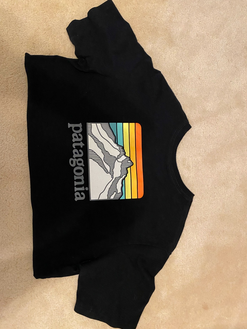 Patagonia Black T-shirt with Retro Striped Mountain Graphic on back